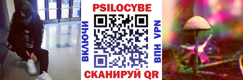 маркетплейс официальный сайт Боровичи Галлюциногенные грибы Magic Shrooms
