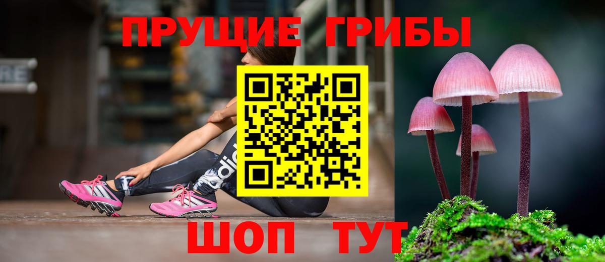 Псилоцибиновые грибы Cubensis Боровичи